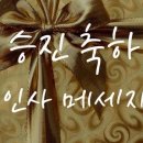 써니상사 이미지