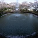 동광농장 이미지