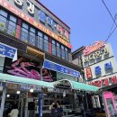 바다풍경물회대게 | 포항 물회 맛집 참가자미물회랑 모리국수까지 완벽했던 바다풍경물회대게 솔직후기!