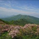 산성