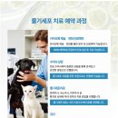 더본 외과동물의료센터 이미지