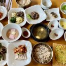 벽오동화순점 이미지