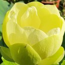 제주가족의 시간 이미지