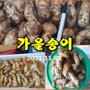 산골건강원 이미지