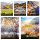 명소 5군데 평창삼양라운드힐 / 경주불국사 / 정읍내장산케이블카 / 고창선운사 / 대전장태산자연휴양림