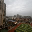 (주)풀잎소리 이미지