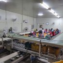 농산물종합유통센터 이미지