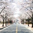 계명대학교 행소박물관 이미지