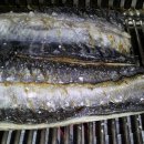 대명돛대 이미지