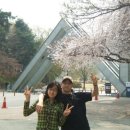 서울대스쿨링