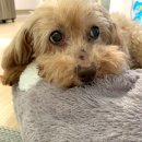 초롱슈퍼 이미지