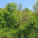 마켓발견 - 의왕시 백운로 587-1 | 마켓발견