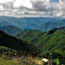 비무장지대 이미지