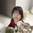 하은이네 이미지