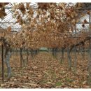 김재훈농장 이미지