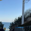 콩이랑 초이랑 이미지