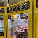 꿀잼 뽑기 이미지