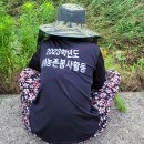 신전마을(다락골) 이미지