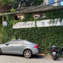 느티나무집 이미지