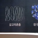 재호축산 네이버블로그