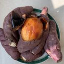 조은농장 이미지