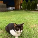 지에스25뉴장암휴게소점 이미지