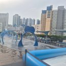 부모님과 부산 해운대 파라다이스 호텔 본관 디럭스 트윈 오션 테라스,1020호 숙박 후기 | 2026.07.03(금)