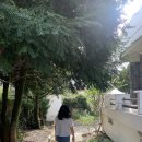 달노시 스테이 이미지