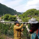 봉좌농장 이미지