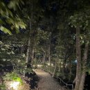 오솔길 농장 | 재방문한 여주 오꼬노미야끼, 야끼소바 맛집 ‘기미짱오꼬노미카페‘ 내돈내산 후기