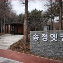 숲 바다 이미지