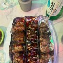 명품압구정 닭꼬치 | 군포 금정역 명품압구정닭꼬치 금정1호점 🍢 냐미~~~