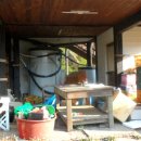 김경식 농장 이미지