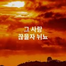 주날개밑