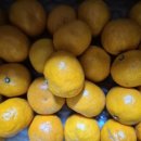 남원읍-73 이미지