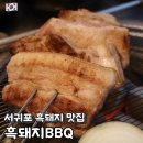 환성농장 | 제주 흑돼지 맛집 서귀포 올레시장 현지인 추천 흑돼지BBQ