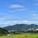 시립박물관 노리숲길 이미지