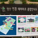 연꽃테마파크 방문자 센터 이미지
