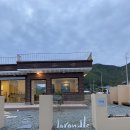 갈망개 민박 이미지