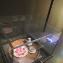 이야기 한국사 원정대 이미지