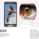 청담삼성밝은안과 네이버블로그