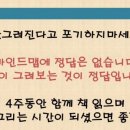 리치투비 - 금천구 가산디지털1로 70 | 리치투비