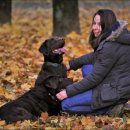 웨스트짐 이미지