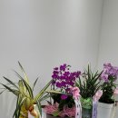 우리신경과의원 이미지