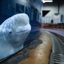 루비빌딩 이미지