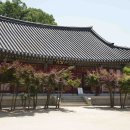 충주 사찰 여행, 석종사 산책하고 오기
