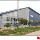 안성비단잉어 이미지