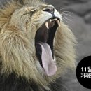 (주)소프트에이드 이미지