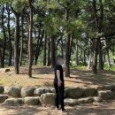 벌미천 | 아직 25년 11월