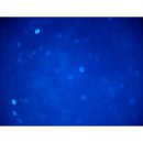 리치랜드 이미지